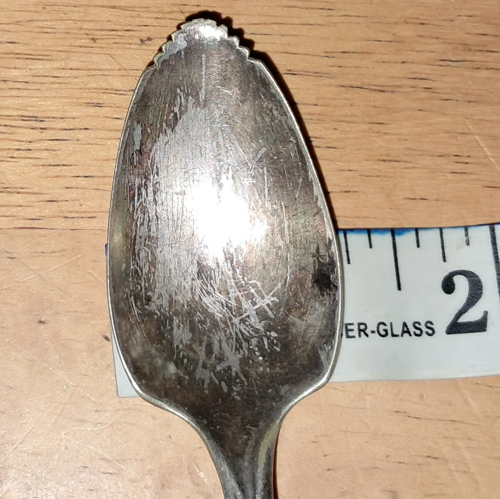 WM ROGERS MFG. CO. serated tip Spoon